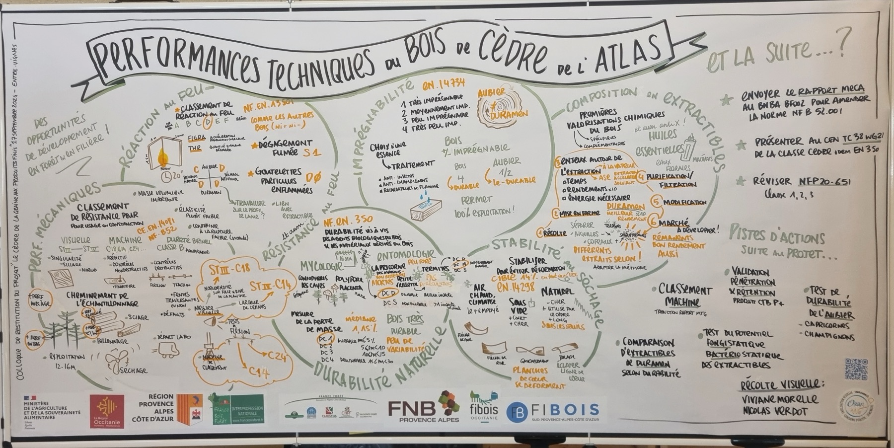 Fresque graphique « Performances techniques du bois de Cèdre de l'Atlas » réalisée en direct au colloque FIBOIS